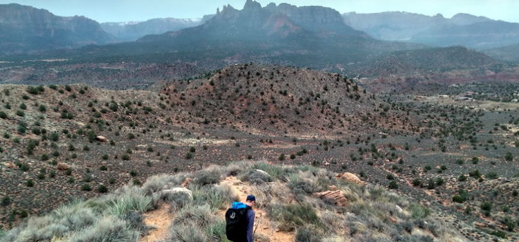 Ride that Pony: climbing Cowboy Ridge, Zion National Park