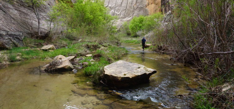 Down Sand Creek and Up Death Hollow – a Boulder Mail Trail Fastpack Loop