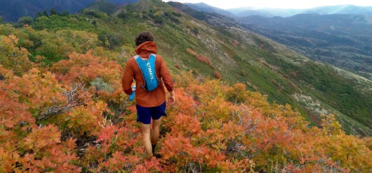 Emigration Canyon Watershed Looping